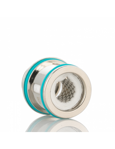 copy of Endura M18 Resistenze Innokin Head Coil 1.6 ohm and 1.5