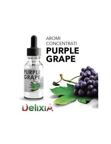 Delixia Aroma Purple Grape