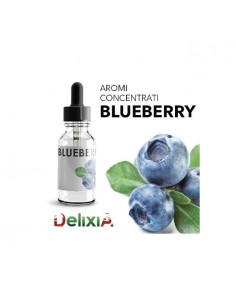 Delixia Aroma Blueberry