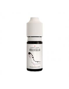 Volucella Curiosities FUU Concentrated Aroma 10ml Plum Vanilla
