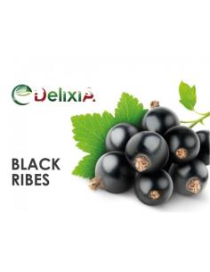 Ribes Nero Delixia Aroma Organico Concentrato