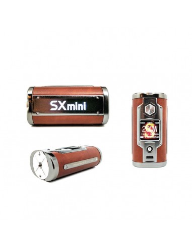 SX Mini Battery G Class 200W