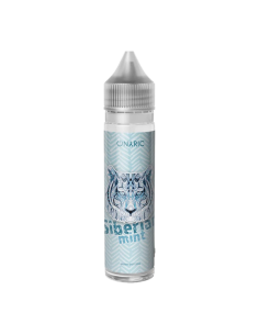 PRE Siberian Mint Onyric Liquido shot 20ml Ice Mint