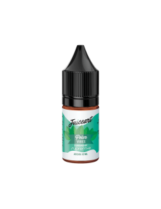 Polar Vibes Juice Art Concentrated Aroma 10ml Peppermint