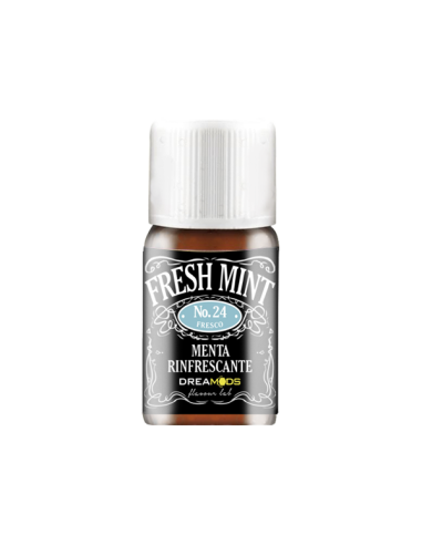 Fresh Mint N. 24 Dreamods Aroma Concentrate 10ml Ice Mint