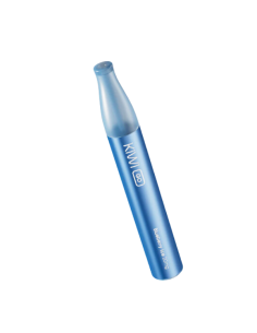 kiwi go blueberry ice disposable e-cigarette 750 puffs
