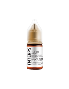 Indica Blend TNTerps TNT Vape Aroma Concentrate 10ml Cannabis