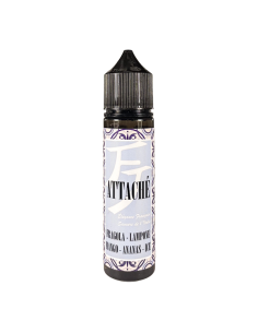 Attaché FJ Flavor Juice Liquid Shot 20ml Strawberry Raspberry Mango.