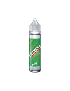 Brook Mint Justy Flavor Liquid Shot 20ml Chewing Gum Menta