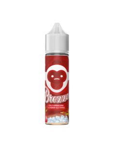 Brezza Non Parlo Easy Vape Liquido Scomposto 20ml