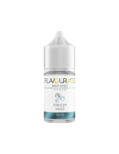 Freezy Mint Aroma Mini Shot 10ml Peppermint Ice