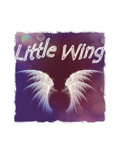 Little Wing Aroma T-Svapo