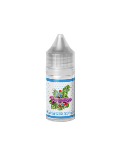 Paradise Ice Coconut Milk Caramel Donut King Aroma Mini Shot 10ml