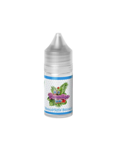 Paradise Ice Coconut Milk Caramel Donut King Aroma Mini Shot 10ml