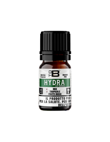 Hydra ToB Aroma Concentrate 10ml Red Fruits...