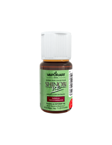 Shinobi Ice VaporArt Aroma Concentrato 10ml