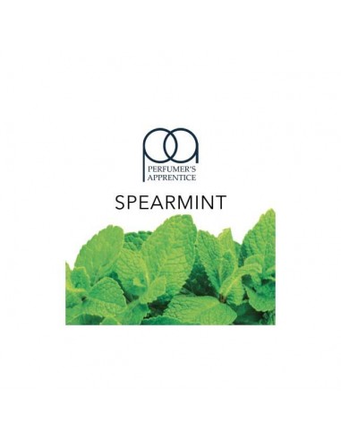Spearmint Aroma Perfumer's Apprentice