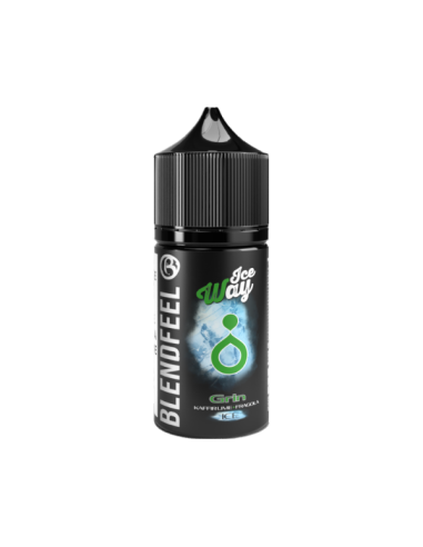 Grin Ice Way Blendfeel Aroma Mini Shot 10ml