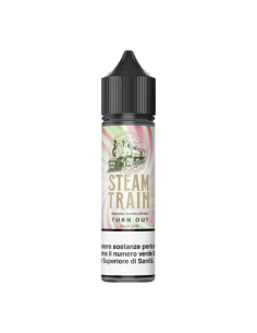Turn Out Steam Train Liquido Shot 20ml Watermelon Strawberry