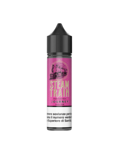 Journey Steam Train Liquido Shot 20ml Apple