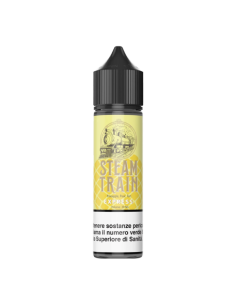 copy of Traquero Steam Train Liquido Shot 20ml Mango Ananas