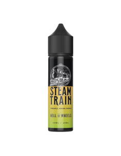 copy of Traquero Steam Train Liquido Shot 20ml Mango Ananas