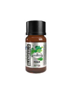 Blendfeel Aroma Concentrate 10ml Mint Leaf
