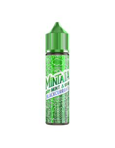 copy of Icee Mint Fruizee Eliquid France Liquido Shot 20ml