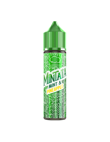 copy of Icee Mint Fruizee Eliquid France Liquido Shot 20ml