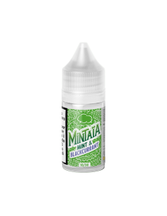 copy of Icee Mint Fruizee Eliquid France Liquido Shot 20ml