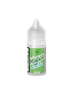 copy of Icee Mint Fruizee Eliquid France Liquido Shot 20ml