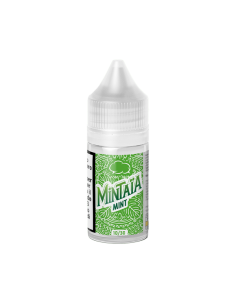 copy of Icee Mint Fruizee Eliquid France Liquido Shot 20ml
