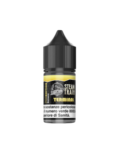 Terminal Pod Edition Steam Train Aroma Mini Shot 10ml Banana Ice