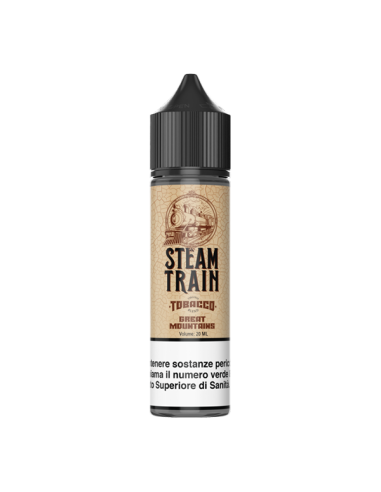 copy of Train to Heaven Steam Train Liquid Shot 20 ml Tobacco