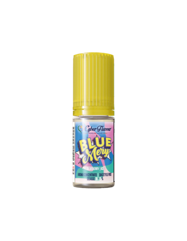 Blue Mery Cyber Flavour Aroma Concentrato 10ml