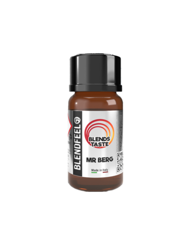 Mr Berg Blends Taste Blendfeel Aroma Concentrato 10ml