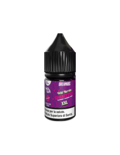 Wild Berries Ghiaccioli Dreamods Liquido Mix and Vape 10ml