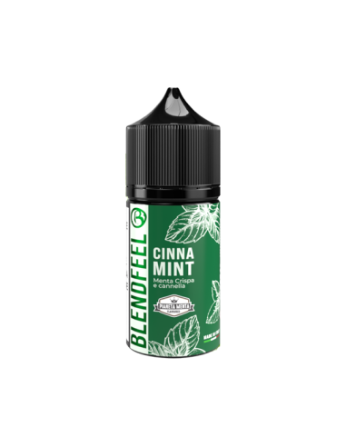 Cinna Mint Pianeta Menta Blendfeel Aroma mini Shot 10ml