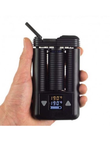 Kit Mighty Storz & Bickel Vaporizzatore