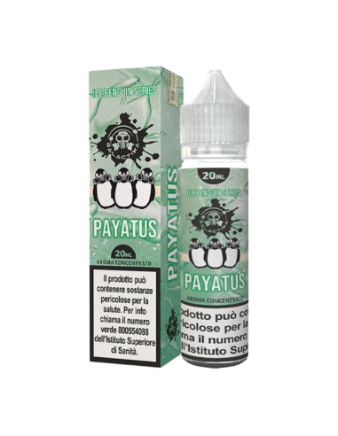 Payatus Pinguini Galactika Liquido Shot 20ml