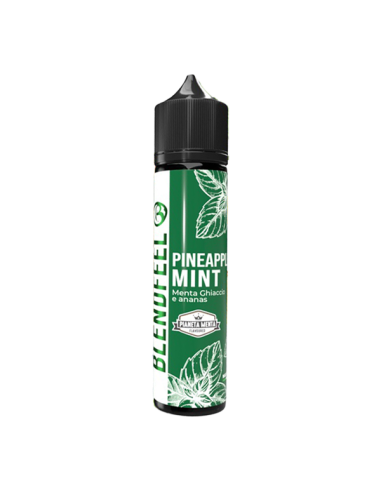 Pineapple Mint Pianeta Menta Blendfeel Liquido Shot 20ml