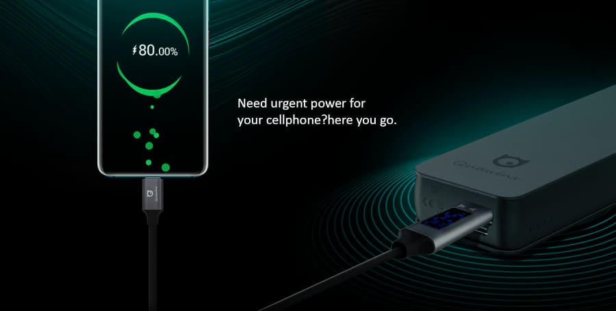quawins powerbank