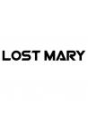 Lost Mary